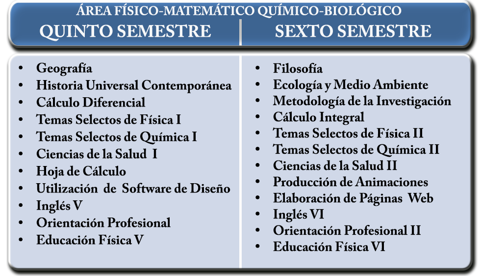 No se encontró la imagen